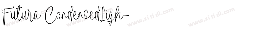 Futura CondensedLigh字体转换
